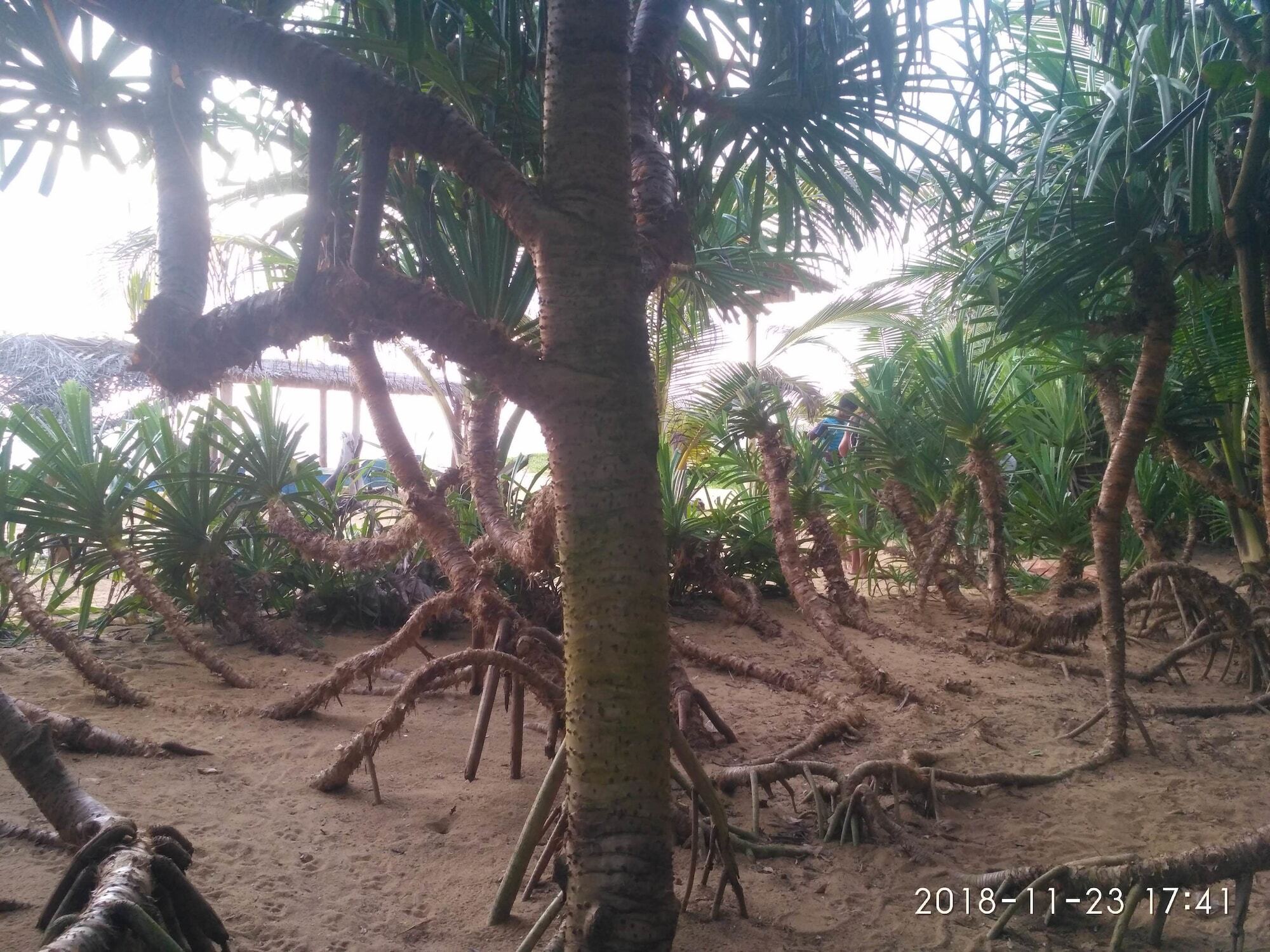 Ravana - Beach Cabanas Hikkaduwa Exterior photo